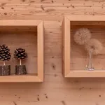 Apartment Alpine Nest