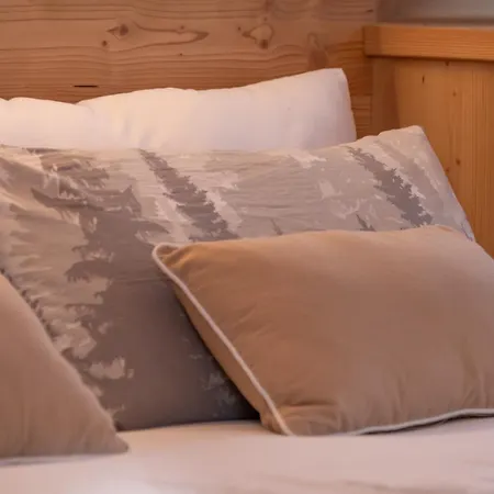 Apartment Alpine Nest *